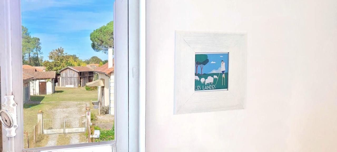 Charmante Maison Dans Les Landes X 10 Avec Piscine Et Salle D Escalade Lue Exterior foto